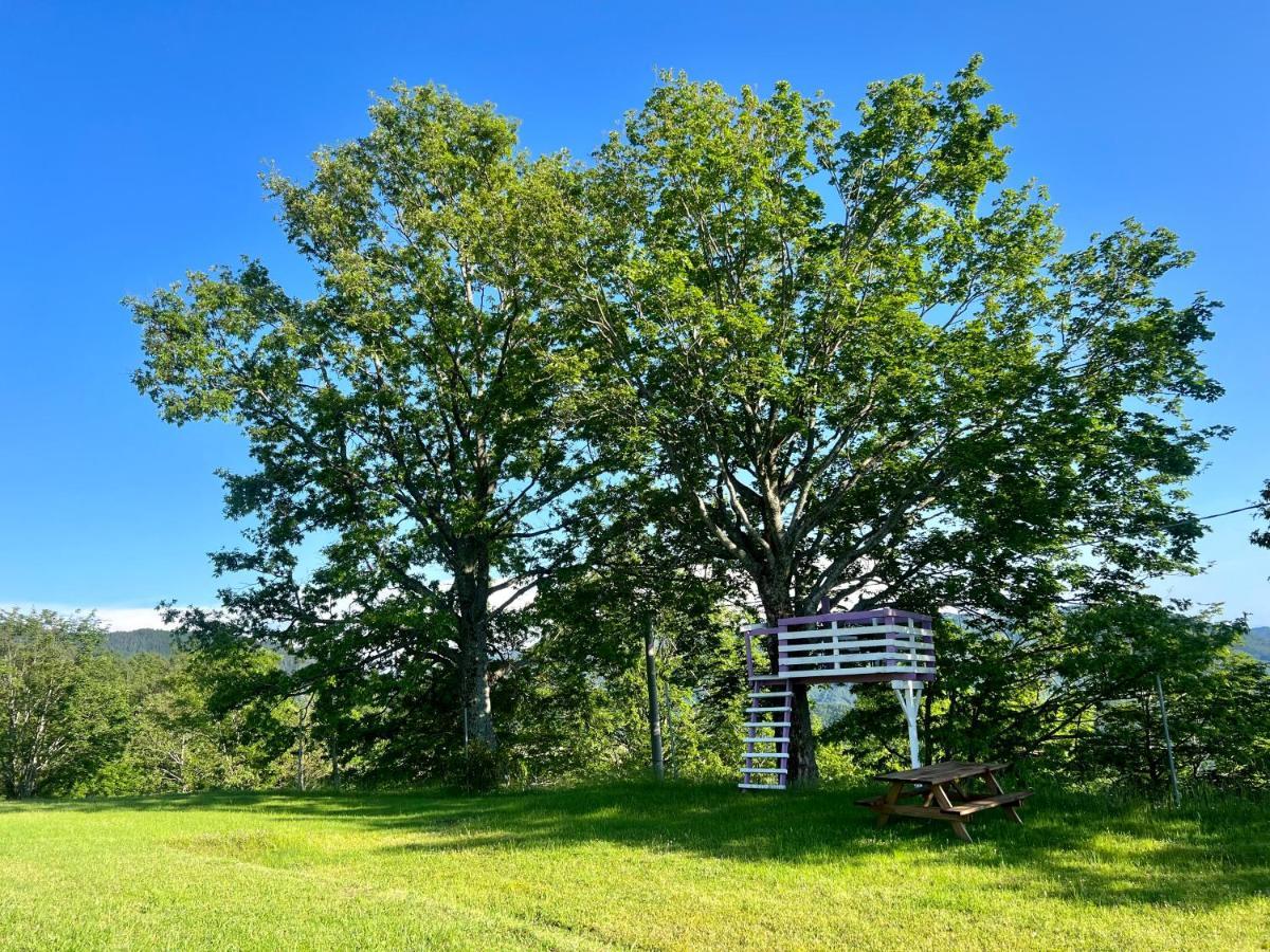 Agriturismo Il Serrino San Marcello Pistoiese Exterior photo
