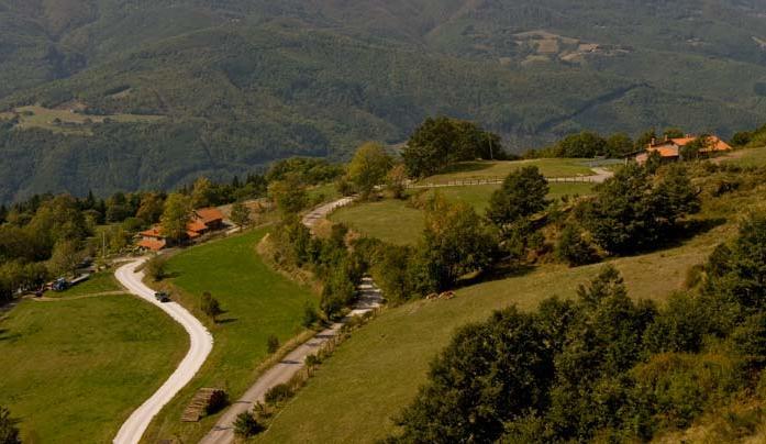 Agriturismo Il Serrino San Marcello Pistoiese Exterior photo
